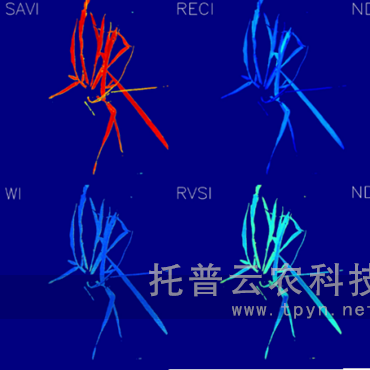 ͨ澳ģMֲL(zhng)O(jin)y(c)ƽ_(ti)