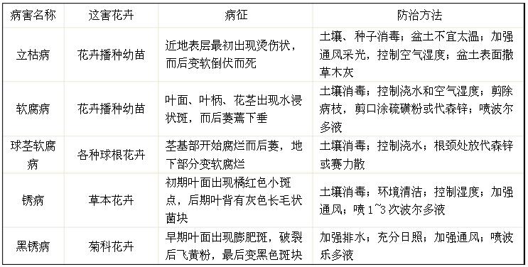 常見植物病害防治