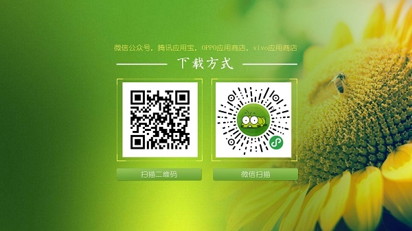 ҊxAPP
