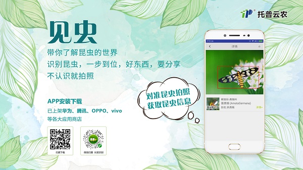 見蟲APP