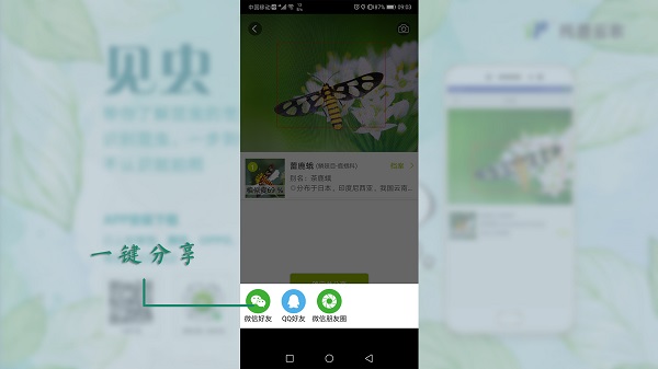 見蟲APP