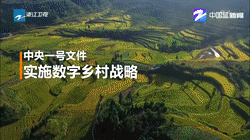 浙江衛(wèi)視：鄉(xiāng)村，如何在“數(shù)字”下變樣
