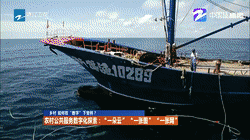 浙江衛(wèi)視：鄉(xiāng)村，如何在“數(shù)字”下變樣