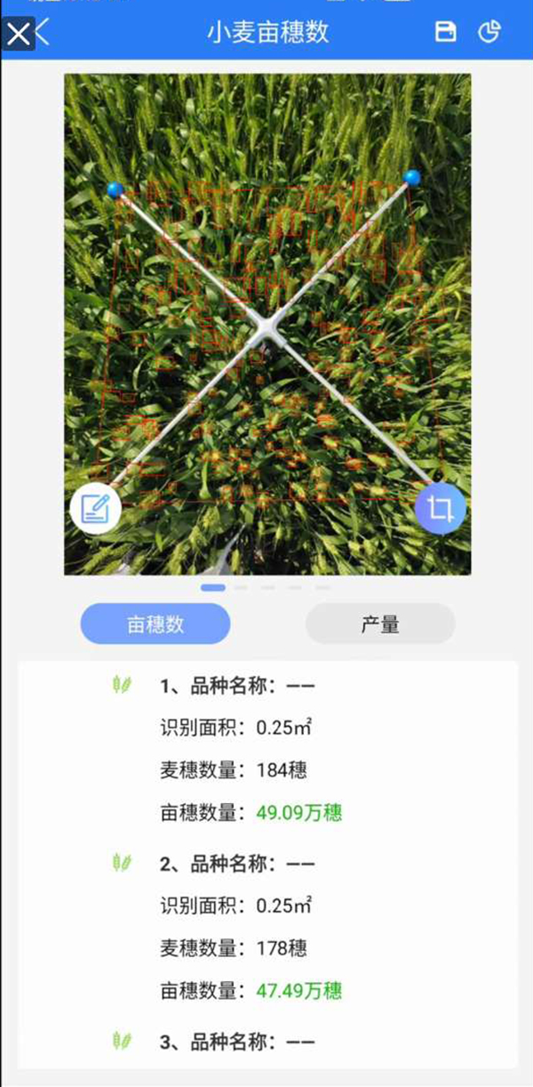 С딵(sh)yϵy(tng)֙CD1